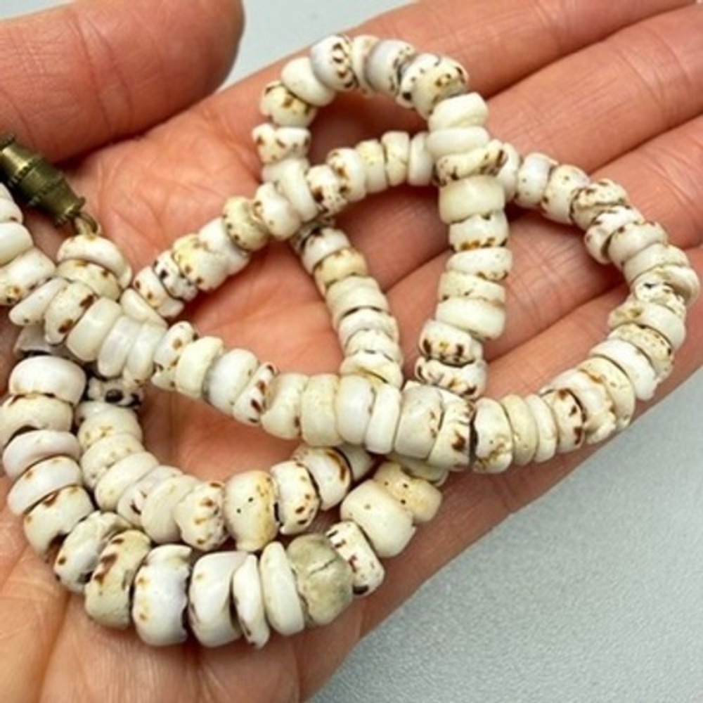 Vintage 1970's‎ Tiger PUKA Shell Hawaiian Choker Necklace 15" Barrel Clasp 22g